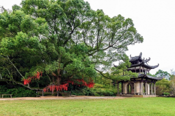 Cậy thần phải nể cây đa | Thần cây đa ma cây gạo